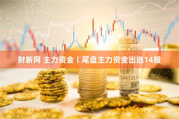 财新网 主力资金丨尾盘主力资金出逃14股