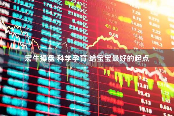 宏牛操盘 科学孕育 给宝宝最好的起点